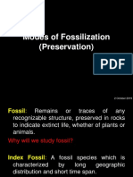 2modes of Fossilization (Preservation)