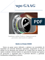 Brochure Grupo Gaag