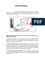 Hipertension Arterial