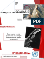 Diapositivas de Esquistosomiasis