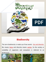 Lecture10!13!20397 Biodiversity