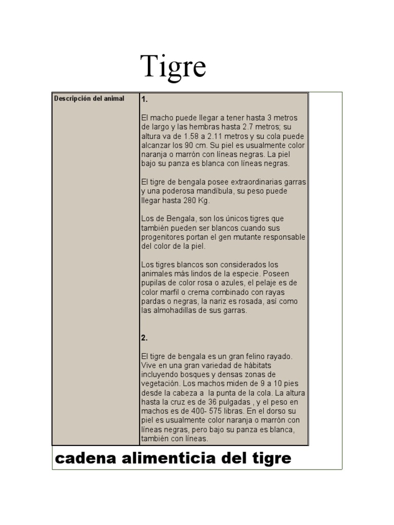 Tigre | PDF | Tigre