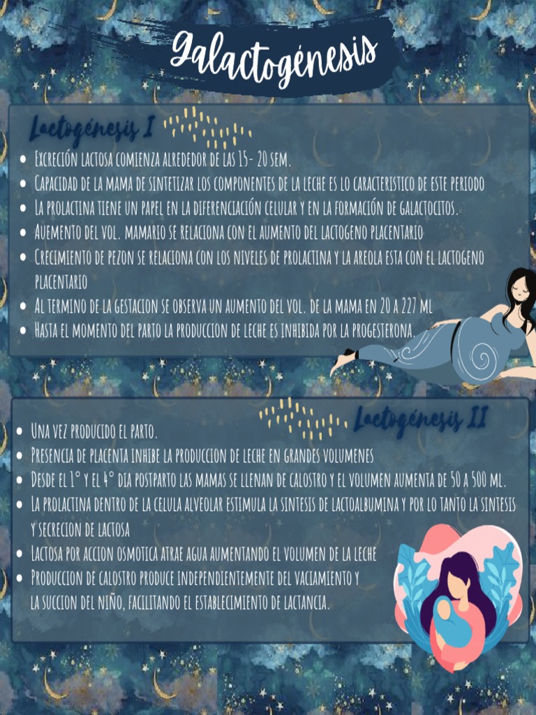 Galactogénesis y desarrollo mamario | PDF