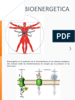 Bioenergetica