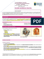 Patología Glándula Salival