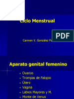 C3 Ciclo Menstrual