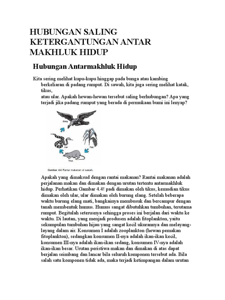 Hubungan Saling Ketergantungan Antar Makhluk Hidup