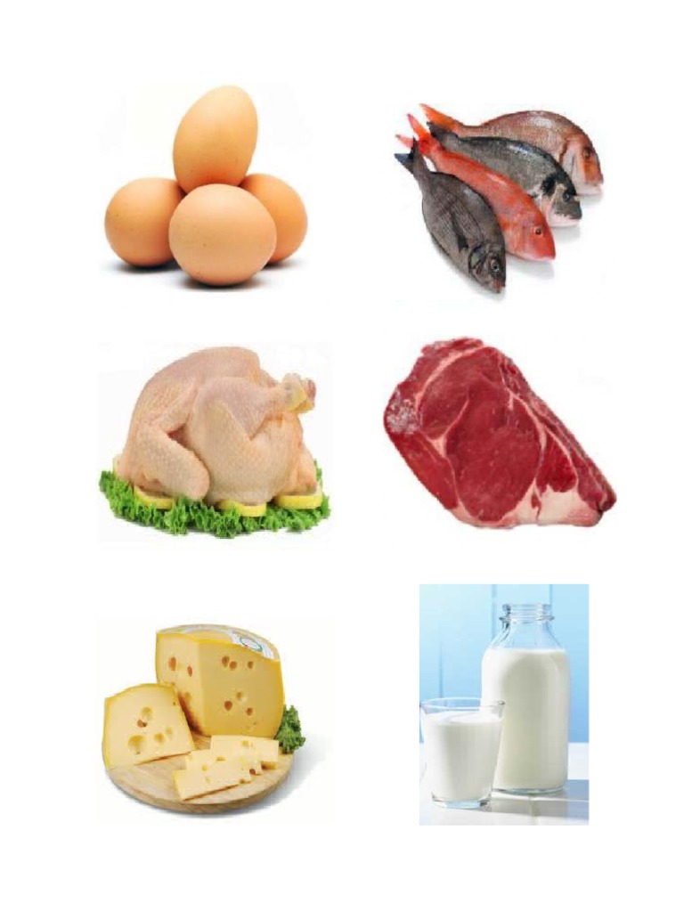 alimentos-de-origen-animal-vegetal-y-mineral-pdf