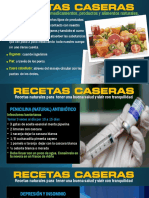 Recetas - Caseras - PDF OficiAL