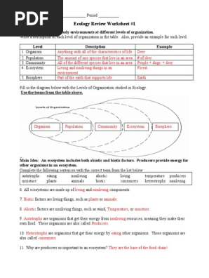 Ecology Review Worksheet 1 Answers | PDF | Food | Ecosystem
