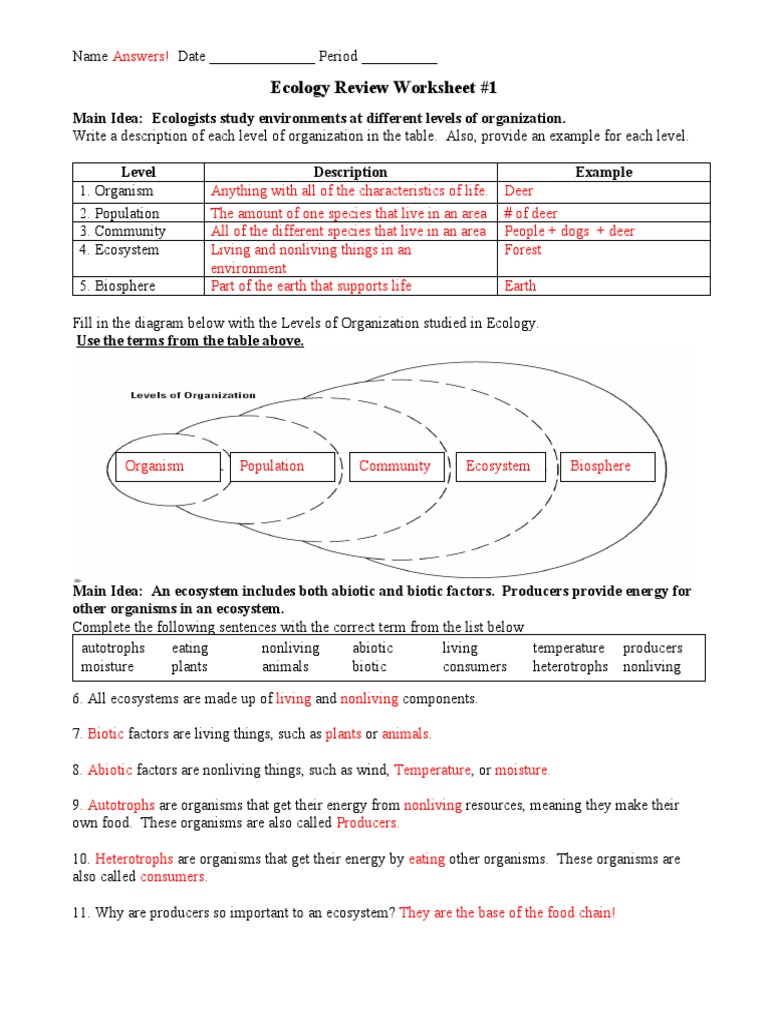 Ecology Review Worksheet 1 Answers PDF Food Web Ecosystem Ecology Review Worksheet 1 Answers PDF Food Web Ecosystem