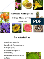 Morfologia da Folha Flor e Frutos