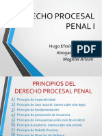 Principios del derecho procesal penal
