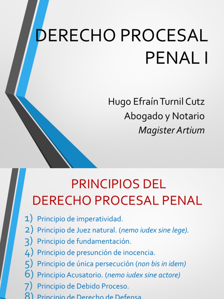 Principios del Derecho Procesal Penal | PDF | Debido al proceso ...