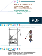 Riesgo Biomecanico PDF