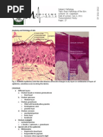 2011-07-PATHO-Basic Pathology of Skin