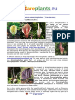 The_Genus_Amorphophallus