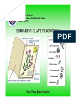 Clase Laboratorio 1. Herbario y Clave Taxonómica