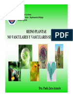Clase Laboratorio 2. Reino Plantae - No Vasculares - Vasculares Sin Semillas
