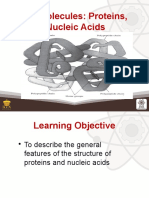13 Proteins and Nucleic Acids