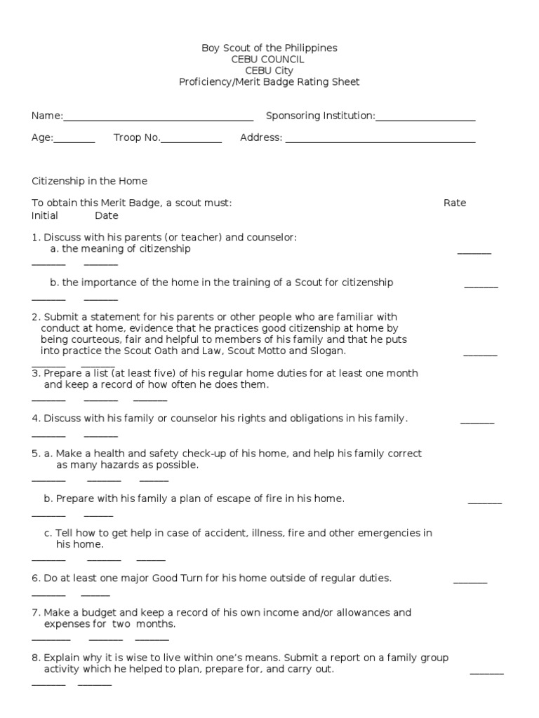 BSP Merit Badge Rating Sheet | PDF | Scouting | Safety