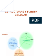 Estructuras y funciones celulares