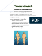 Posiciones Anatomicas