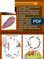 PENY PAR , fASCIOLIASIS, HAEMCHOSIS, ASCARIASIS,TAENIASIS, SCABIES, MYASISI, TRIPANO, RINGWORM (3)