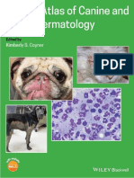 Clinical Atlas of Canine and Feline Dermatology (VetBooks - Ir)