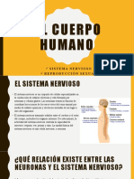 Sistemas y órganos del cuerpo humano