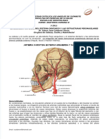 Circulacion Arterial y Venosa Del Sistema Dentario y Estructuras Perimaxilares