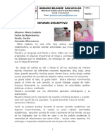 Informe Descriptivo GBSN Prejardin - Jardin