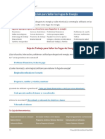 Plan de Acción para Sellar Las Fugas de Eneregia