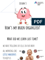 Understanding Brain Organization