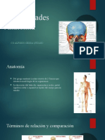 Generalidades Anatomía
