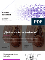 Cancer Testicular