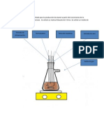 Diseño de Bioreactor