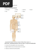 Download Endocrine System Practice Test by Farrah Turner Matthews SN59605244 doc pdf
