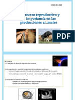 Tema 21. El Proceso Reproductivo