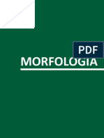 27gramatica Di Tullio-Malcuori Morfologia. Aspectos Generales