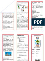 Triptico Medio Ambiente