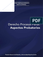 Derecho Procesal Penal Aspectos Probatorios