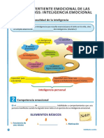 Vertiente Emocional de Las HHSS1