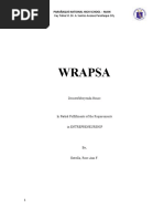 Wrapsa Business-Plan