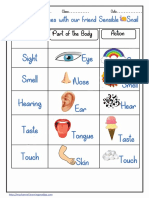 Sense Organ Chart