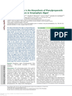 Streptophyte Algae Genetic Toolkit for Phenylpropanoids