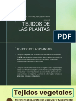 TEJIDOS DE LAS PLANTAS Y DE LOS ANIMALES HITOMI TORRES y JUAN FELIPE ALGECIRA