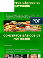 Nutrición y Conceptos Básicos