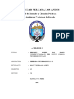 Resumen Sobre Las Bases Constitucionales Del Nuevo Código Procesal Peruano