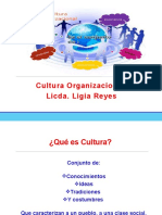 4 Cultura Organizacional
